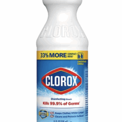 Clorox Bleach Bottle Stasher Can